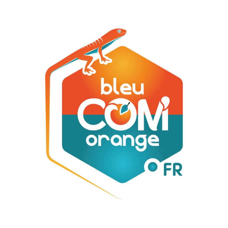Bleu Com' Orange